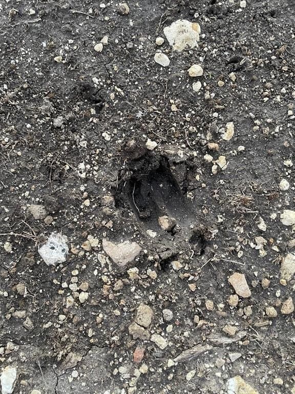 10.01 acres in Hamilton County gallery image 4