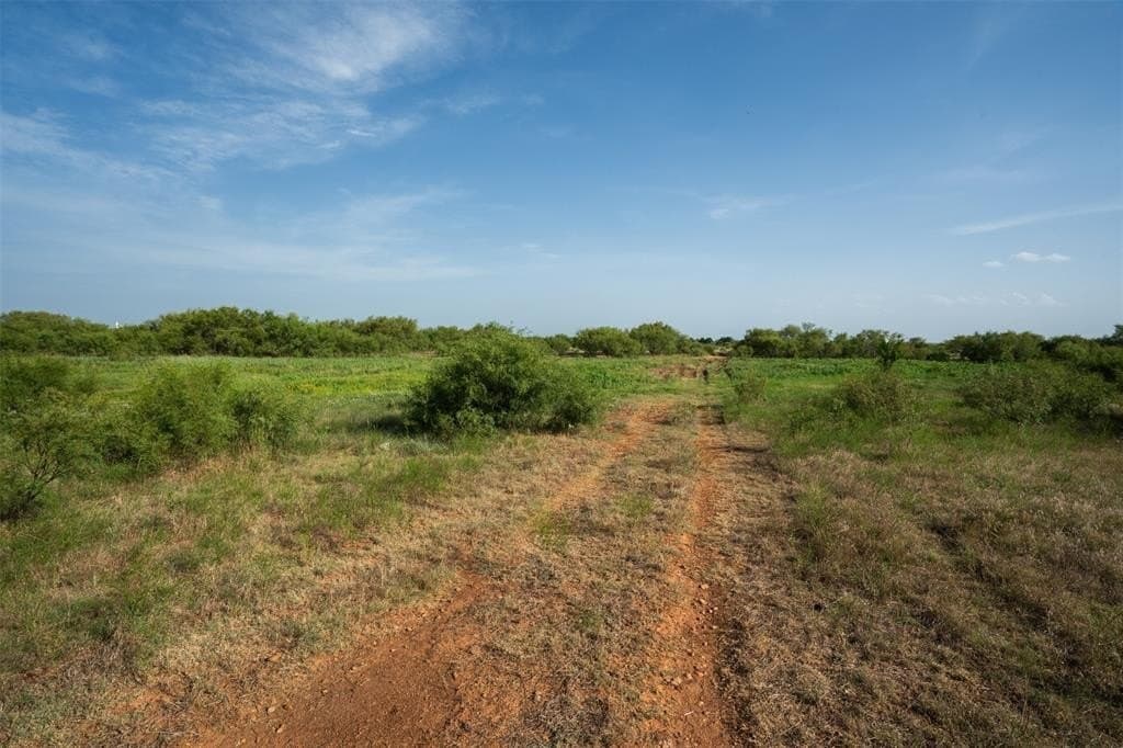 200 acres in Wichita County gallery image 2