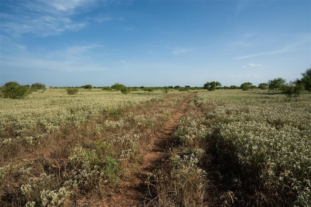 200 acres in Wichita County gallery image 3