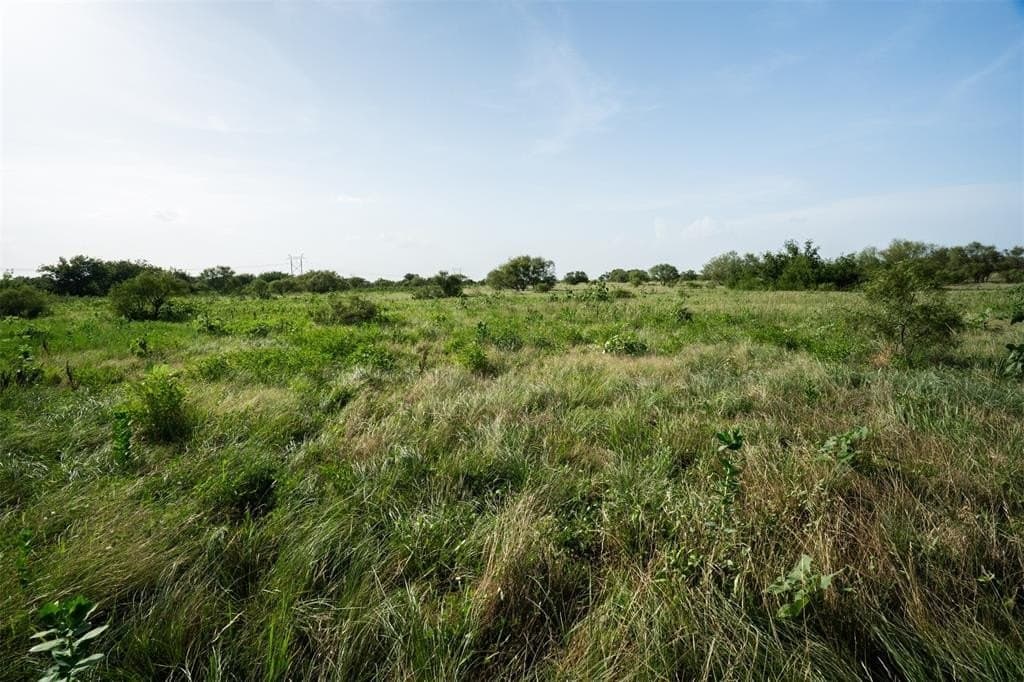 200 acres in Wichita County featured view