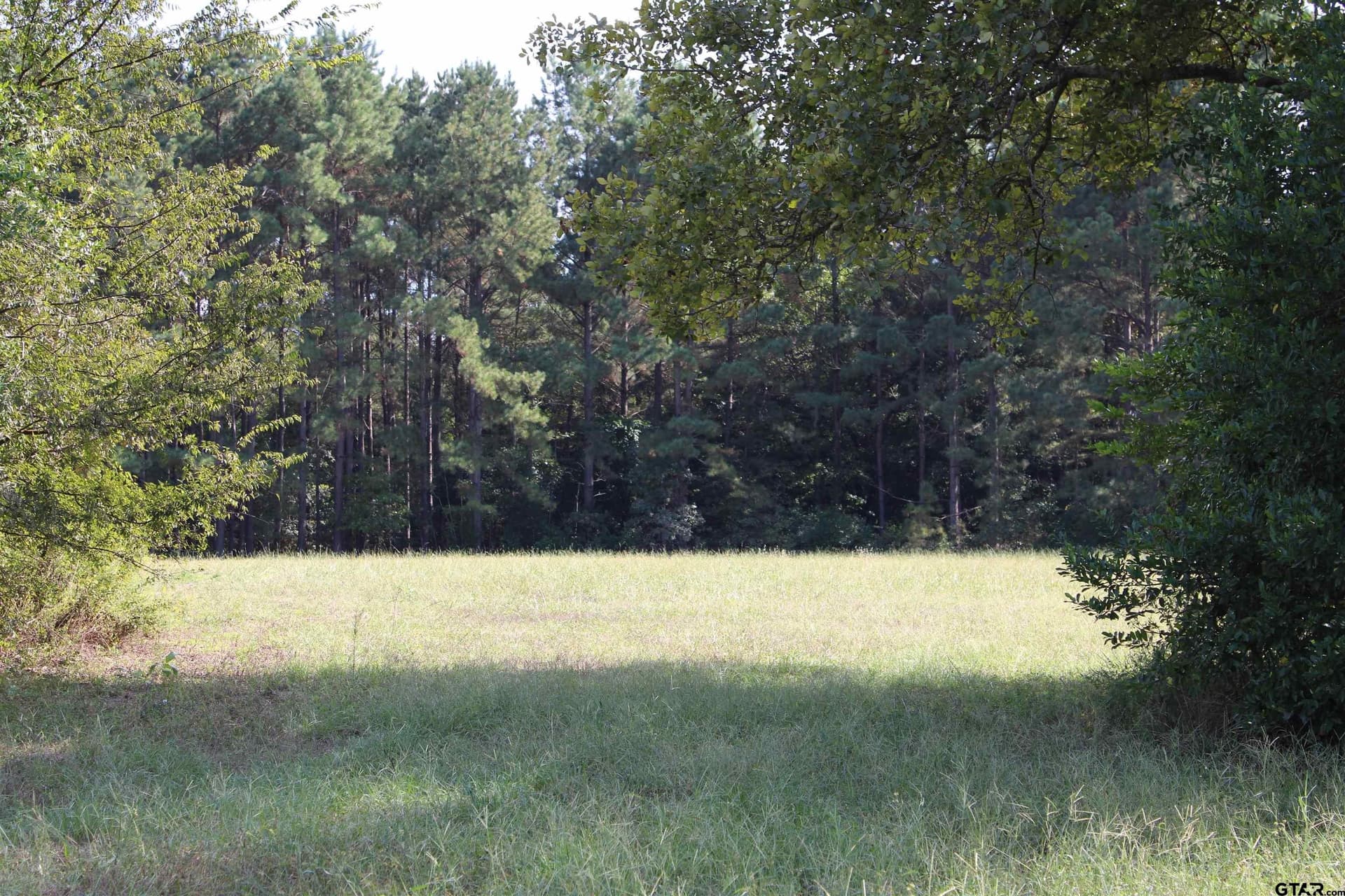 38 acres in Cherokee County - photo 44