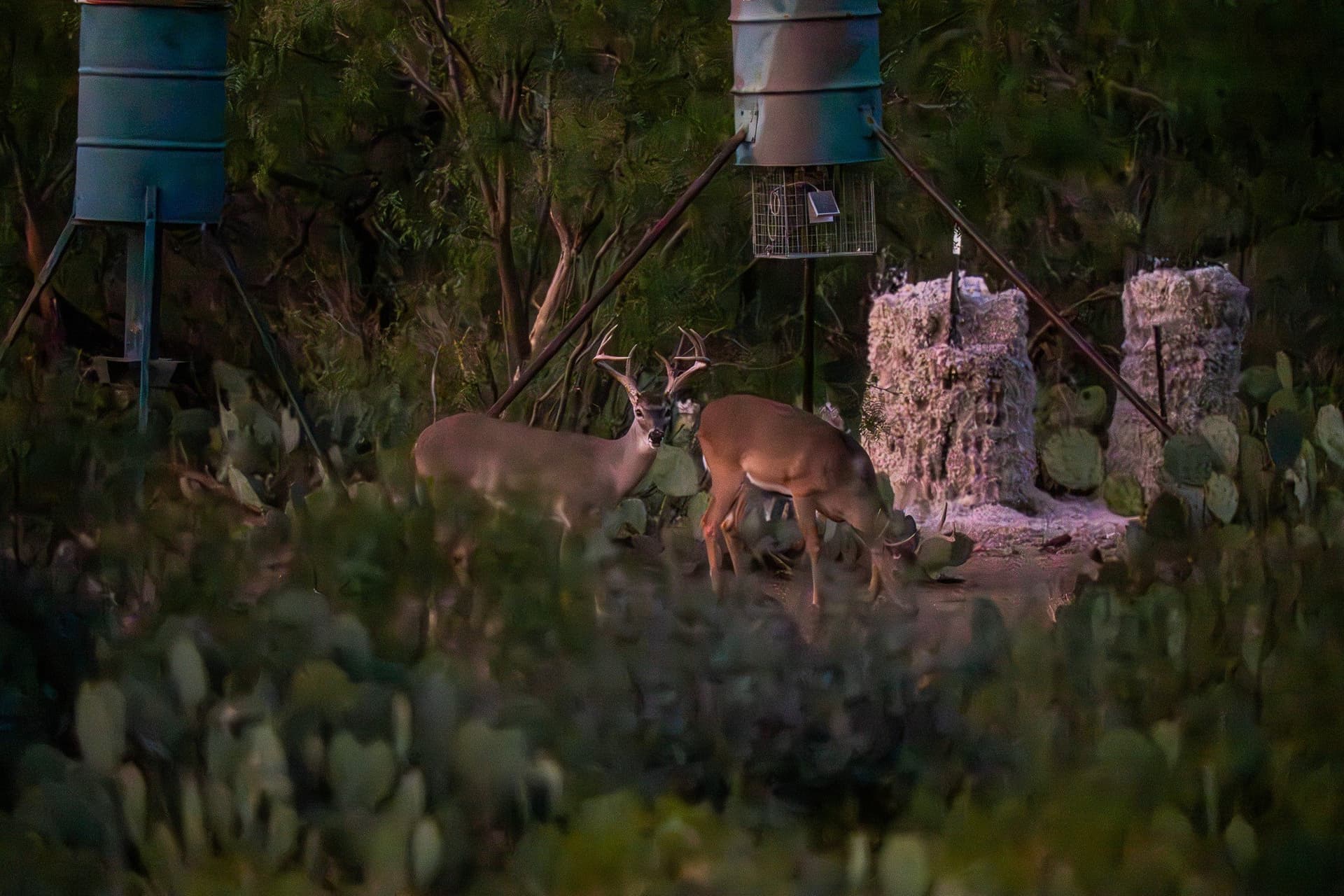 328.54 acres in Runnels County - photo 30