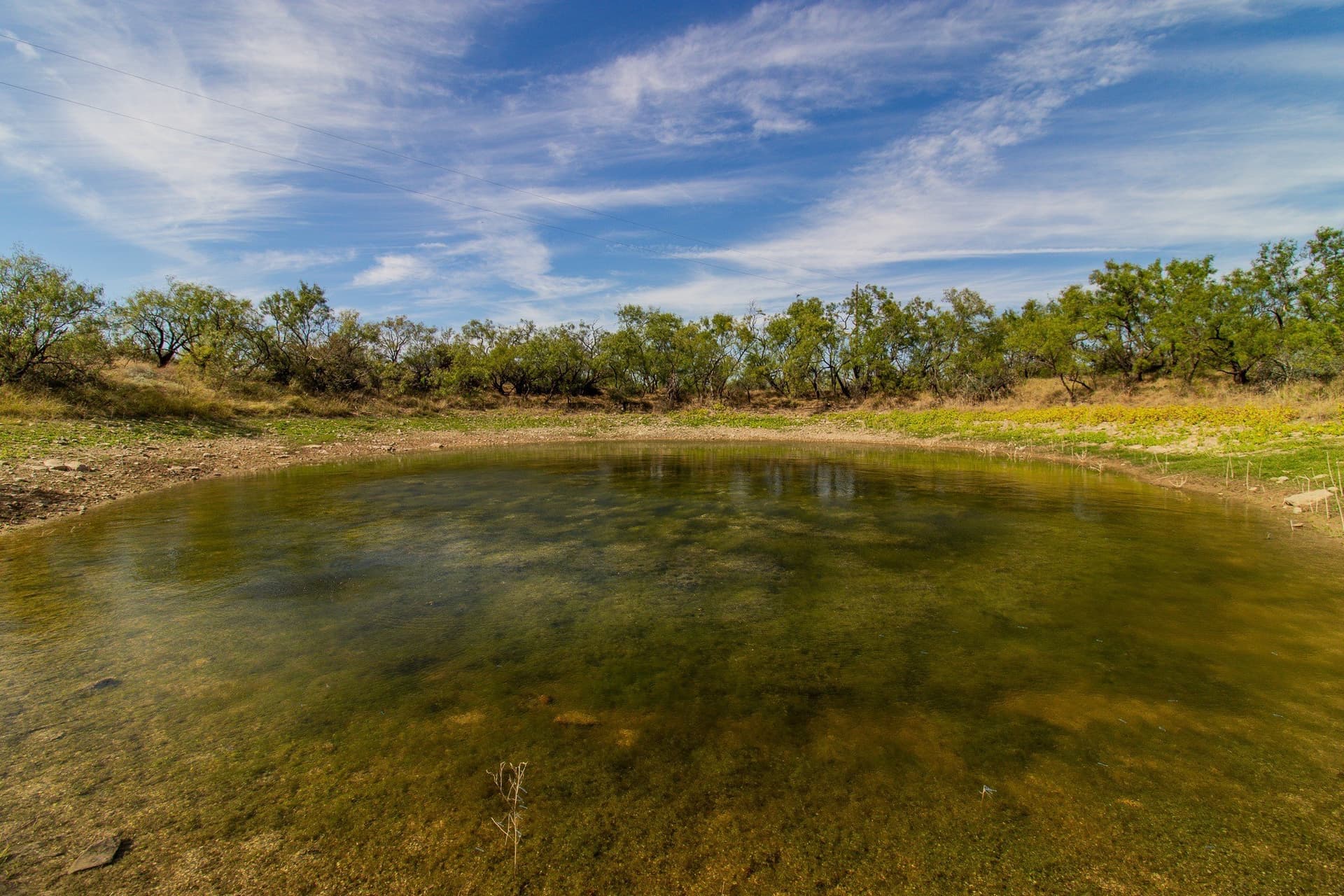 328.54 acres in Runnels County - photo 37