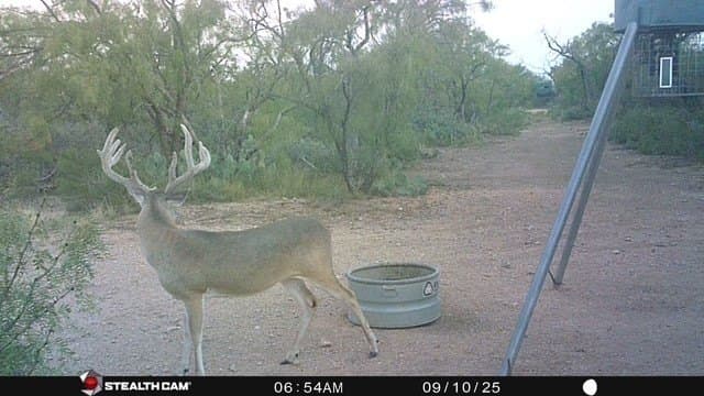 328.54 acres in Runnels County - photo 28