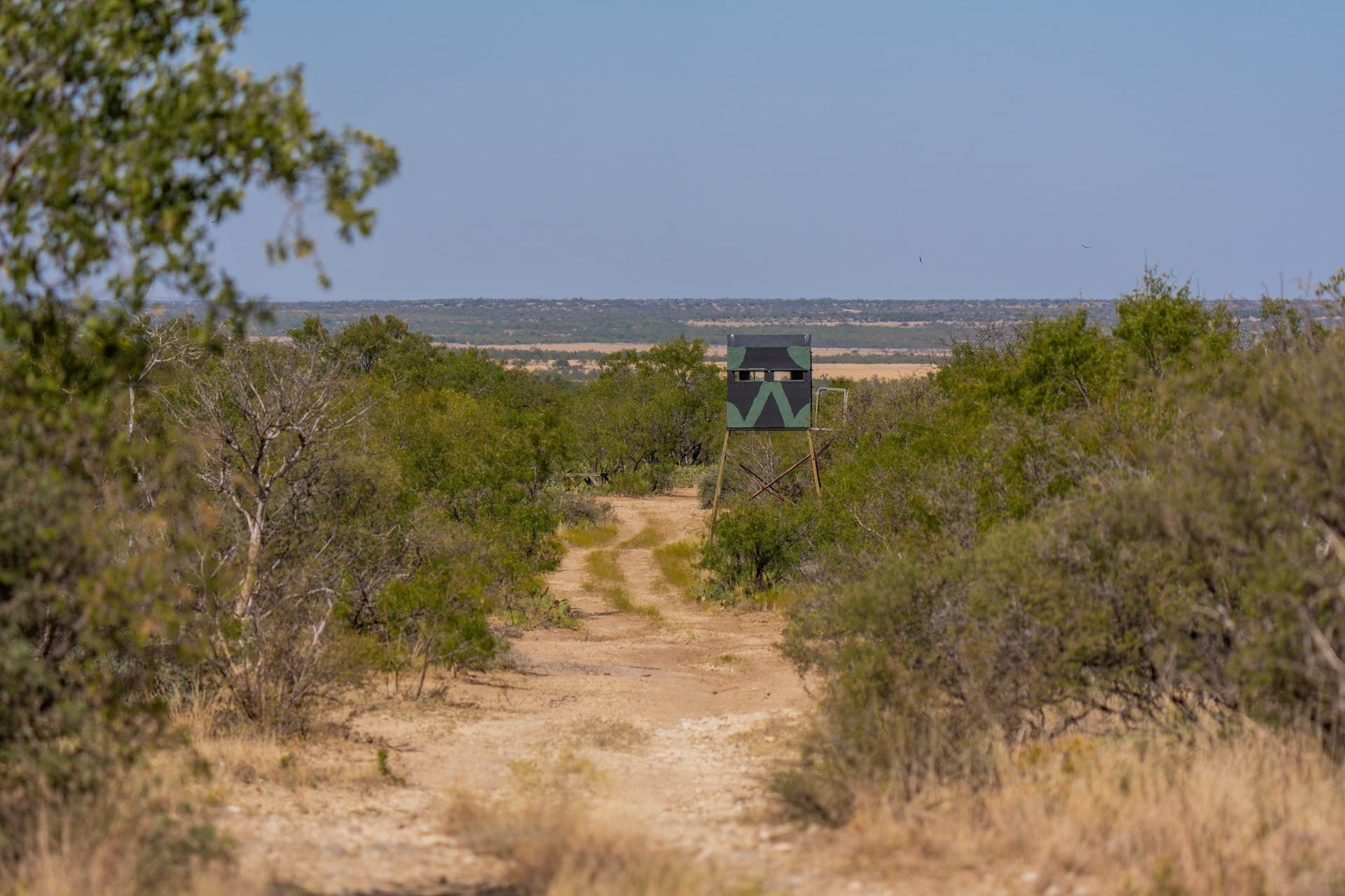 328.54 acres in Runnels County - photo 3