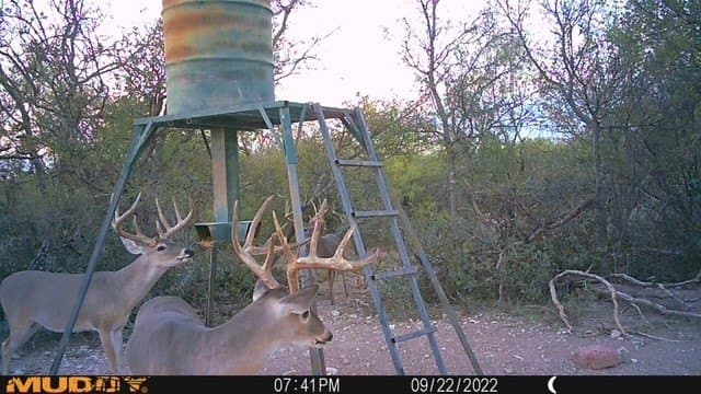 328.54 acres in Runnels County - photo 40