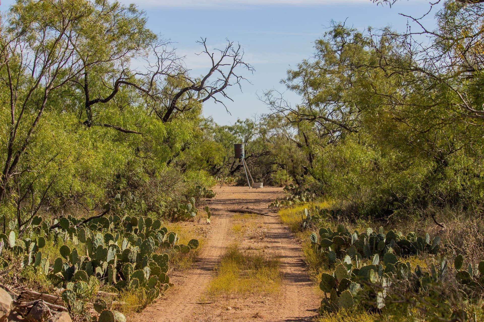 328.54 acres in Runnels County - photo 36