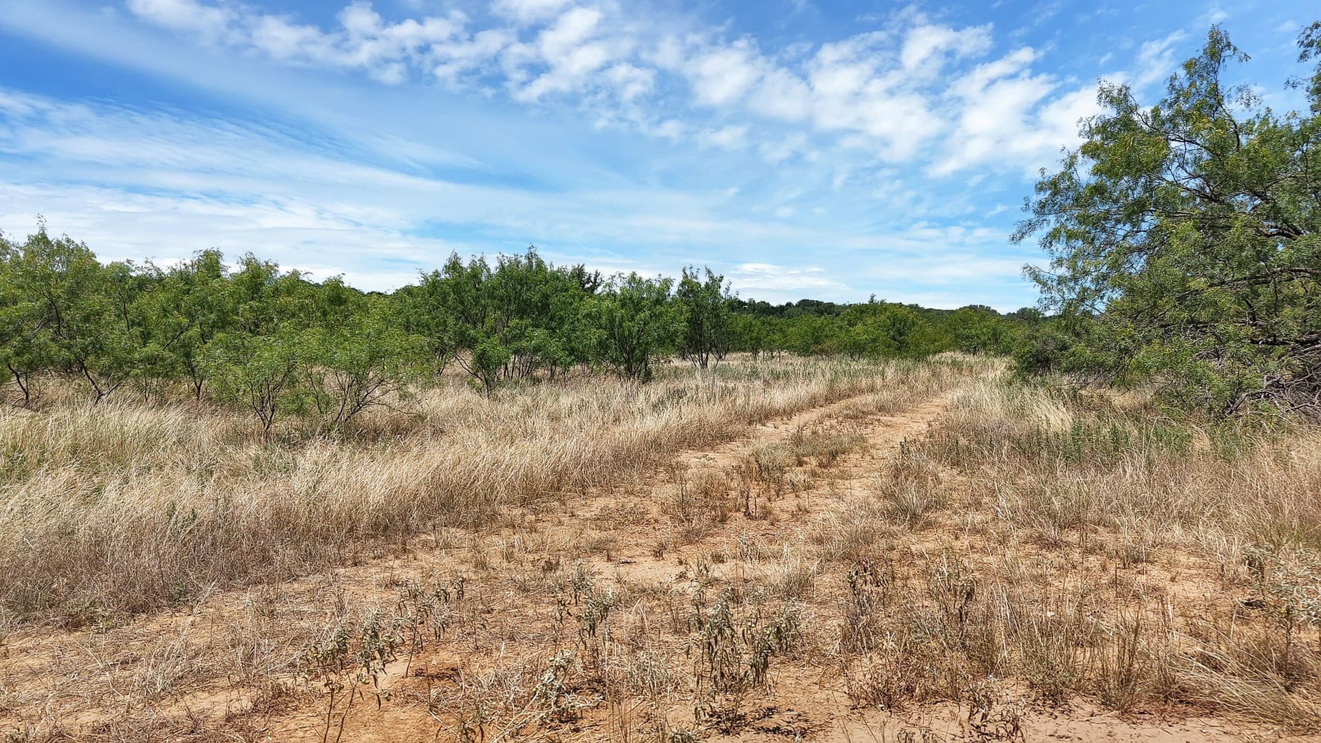 10.01 acres in Stephens County - photo 17