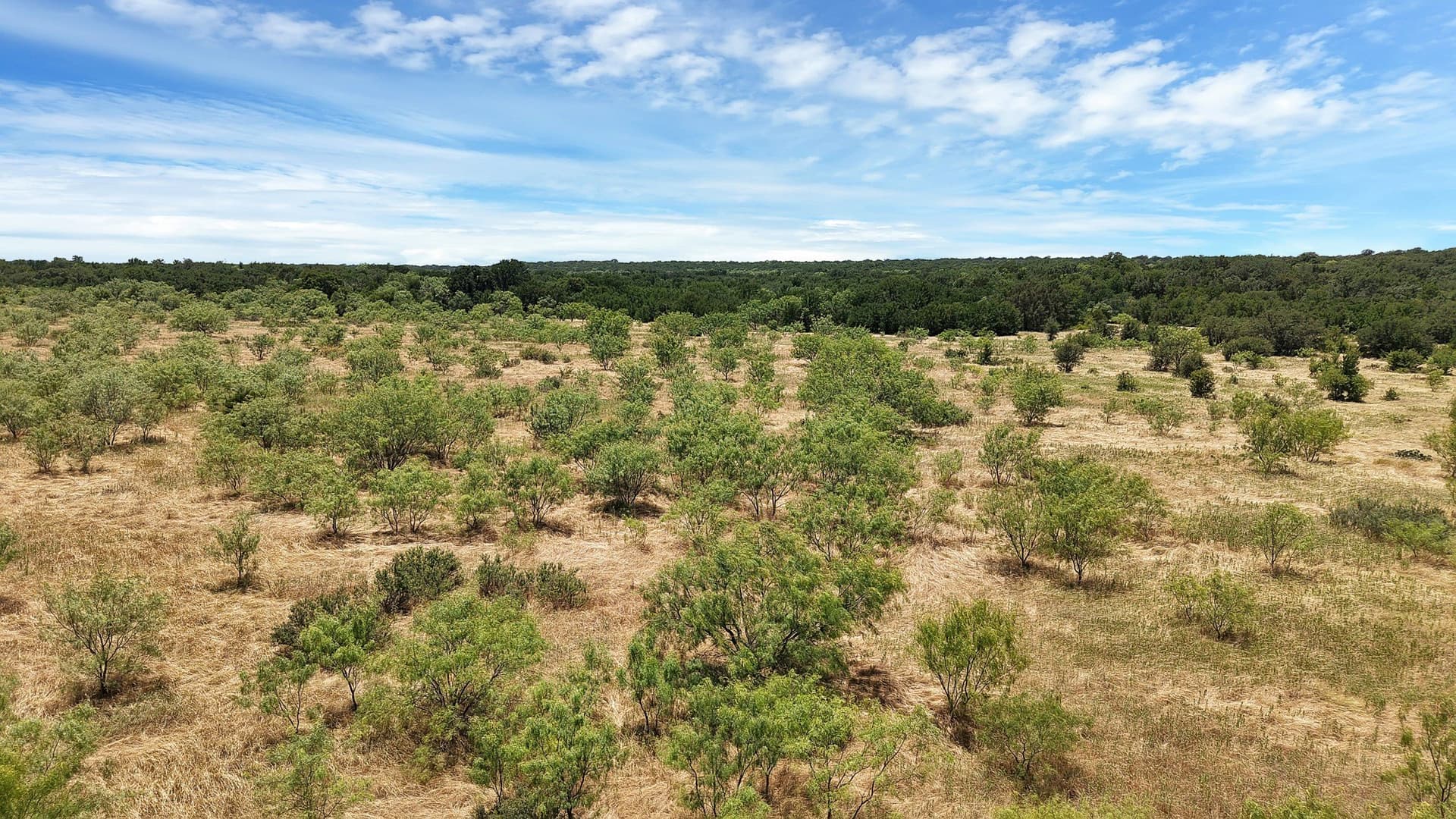 10.01 acres in Stephens County - photo 8