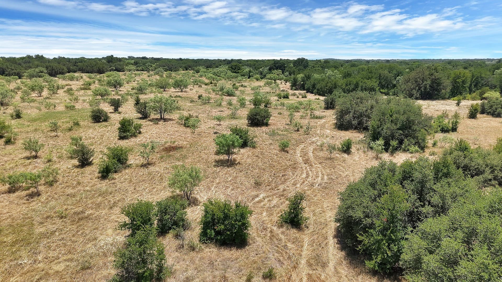 10.01 acres in Stephens County - photo 12