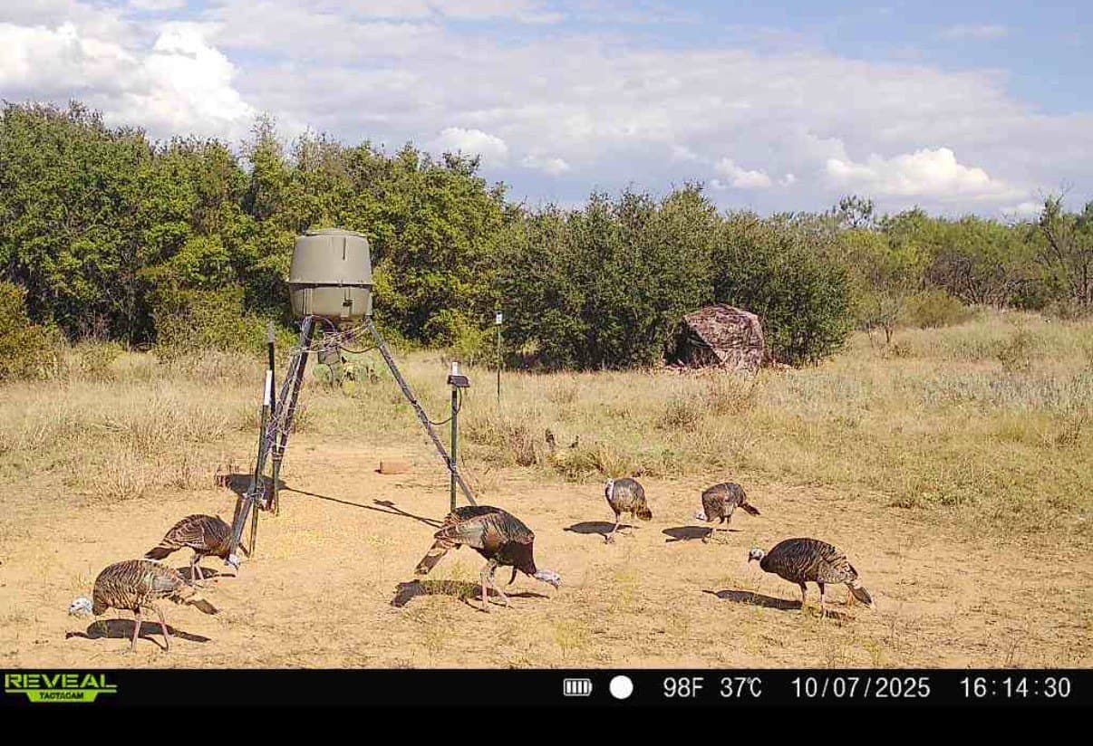 10.01 acres in Stephens County - photo 20