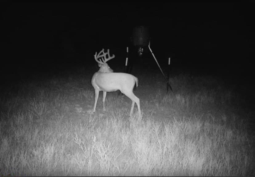 10.01 acres in Stephens County - photo 22