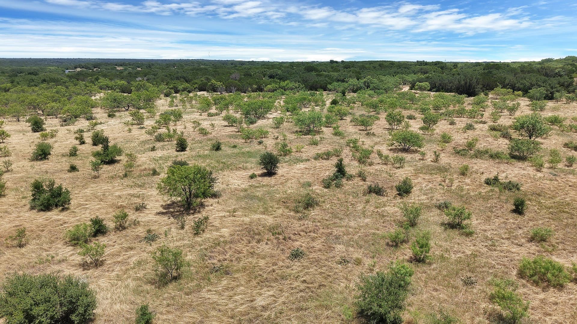 10.01 acres in Stephens County - photo 16