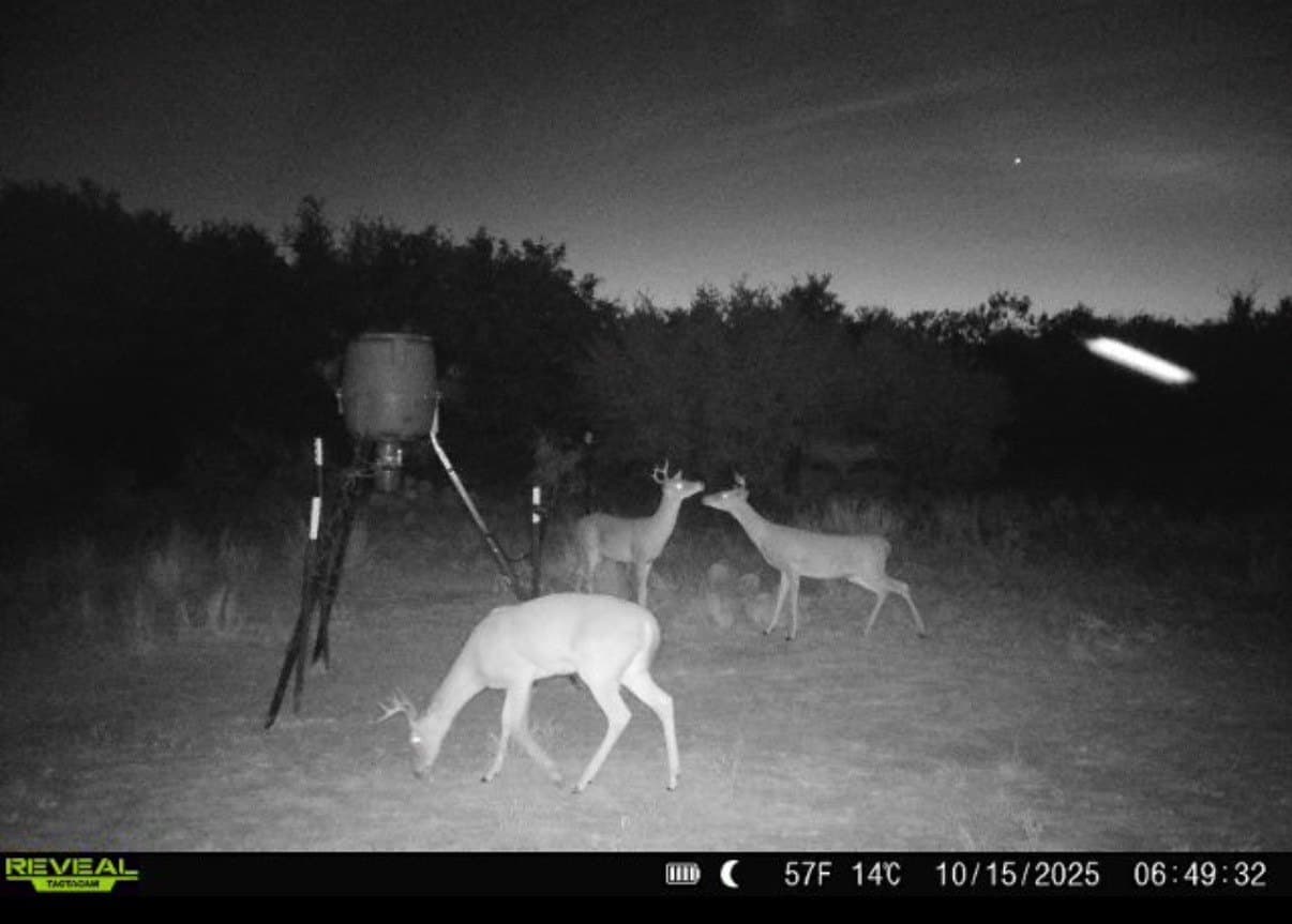 10.01 acres in Stephens County - photo 19