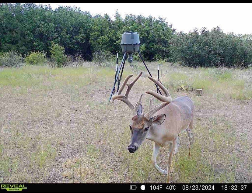 10.01 acres in Stephens County - photo 21