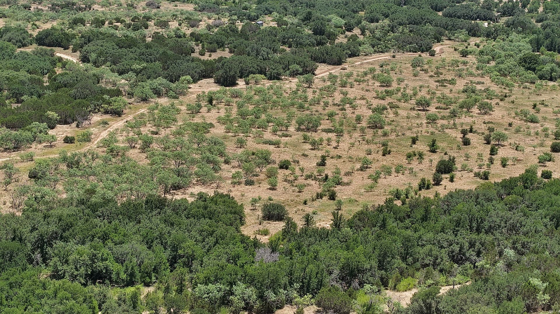10.01 acres in Stephens County - photo 13