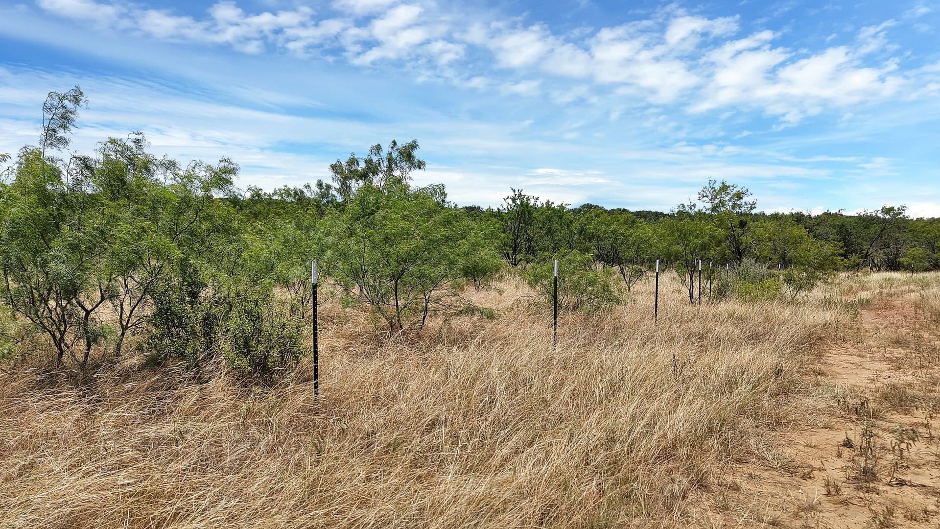 10.01 acres in Stephens County - photo 7