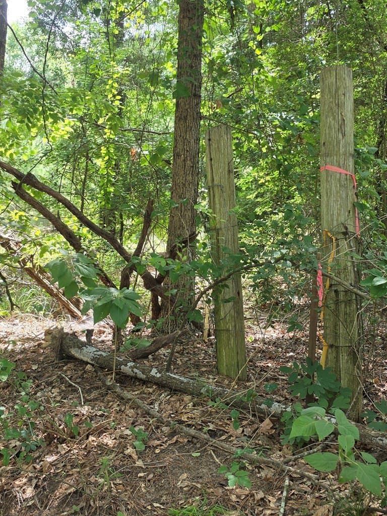 19.75 acres in ANDERSON County - photo 12