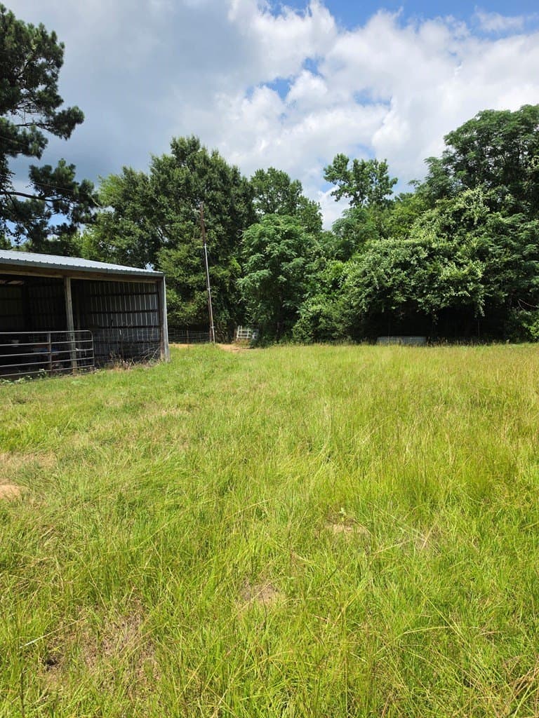 19.75 acres in ANDERSON County - photo 7
