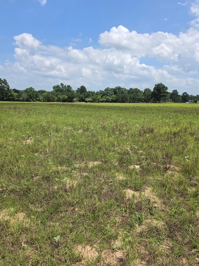 19.75 acres in ANDERSON County - photo 9
