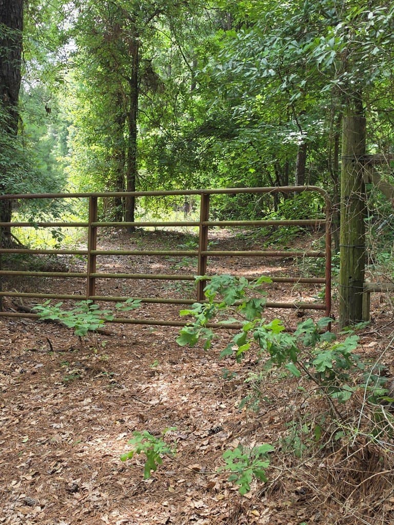 19.75 acres in ANDERSON County - photo 10