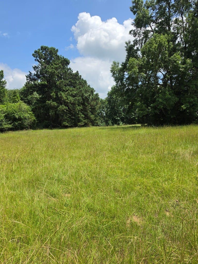 19.75 acres in ANDERSON County gallery image 3