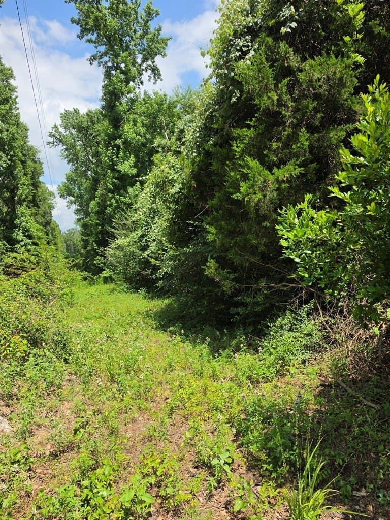19.75 acres in ANDERSON County - photo 15