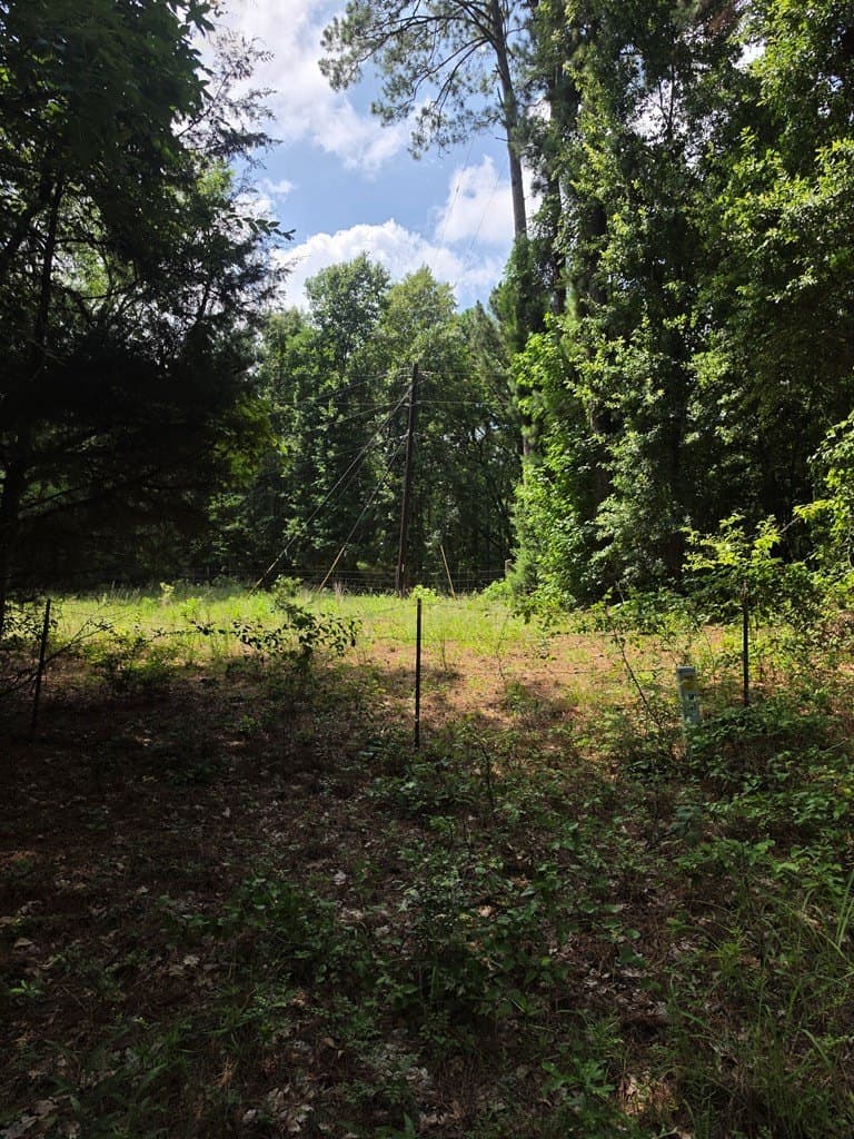19.75 acres in ANDERSON County - photo 8