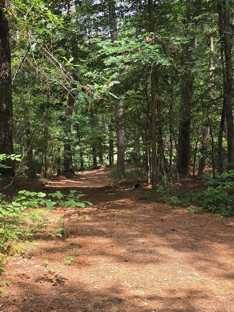 19.75 acres in ANDERSON County - photo 11