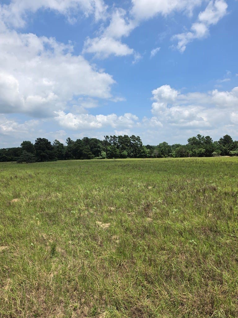 19.75 acres in ANDERSON County gallery image 4