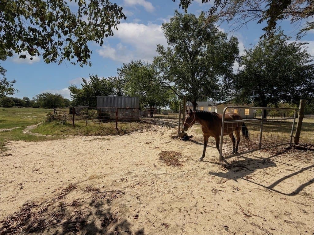 15.55 acres in Van Zandt County - photo 8