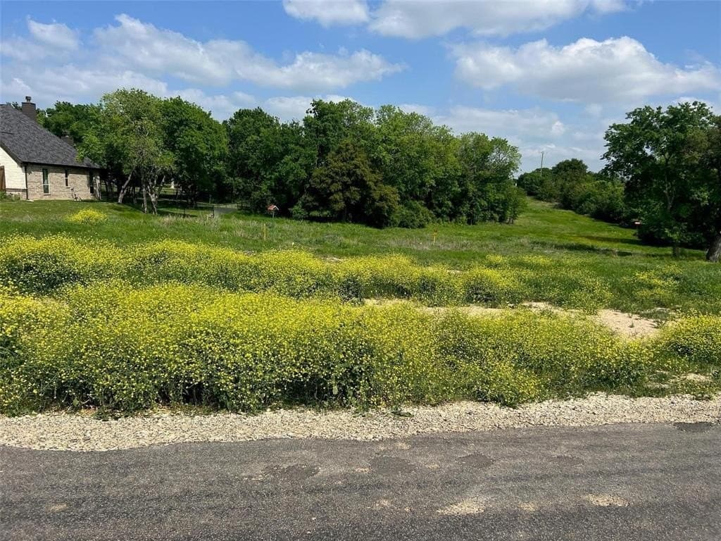 2.49 acres in Parker County gallery image 3