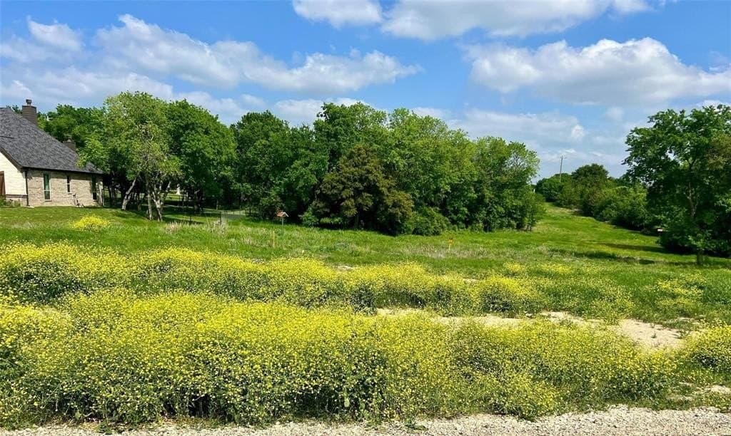 2.49 acres in Parker County gallery image 4