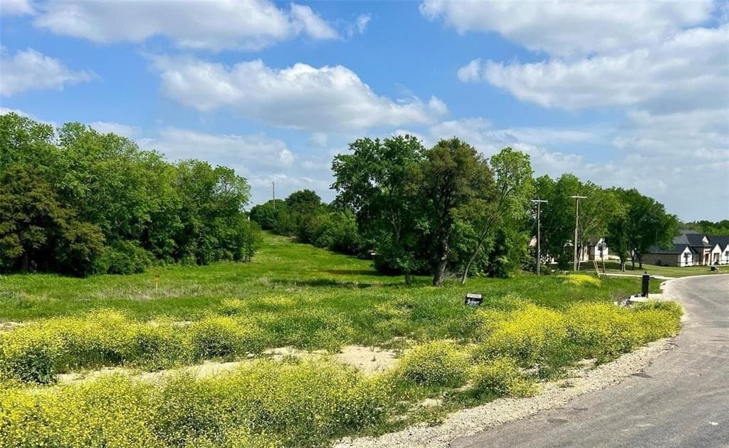 2.49 acres in Parker County gallery image 2
