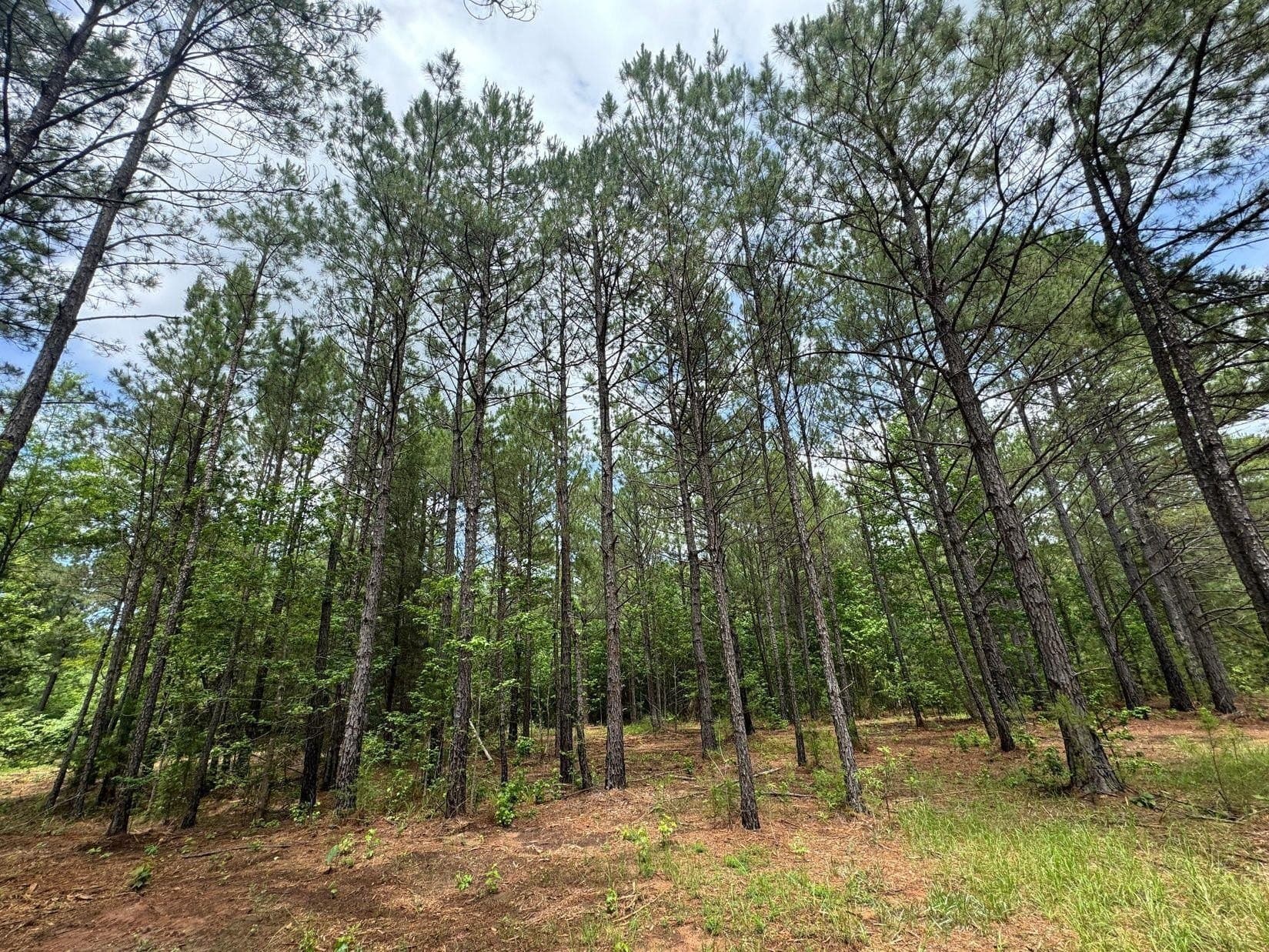 8.42 acres in Marion County featured view
