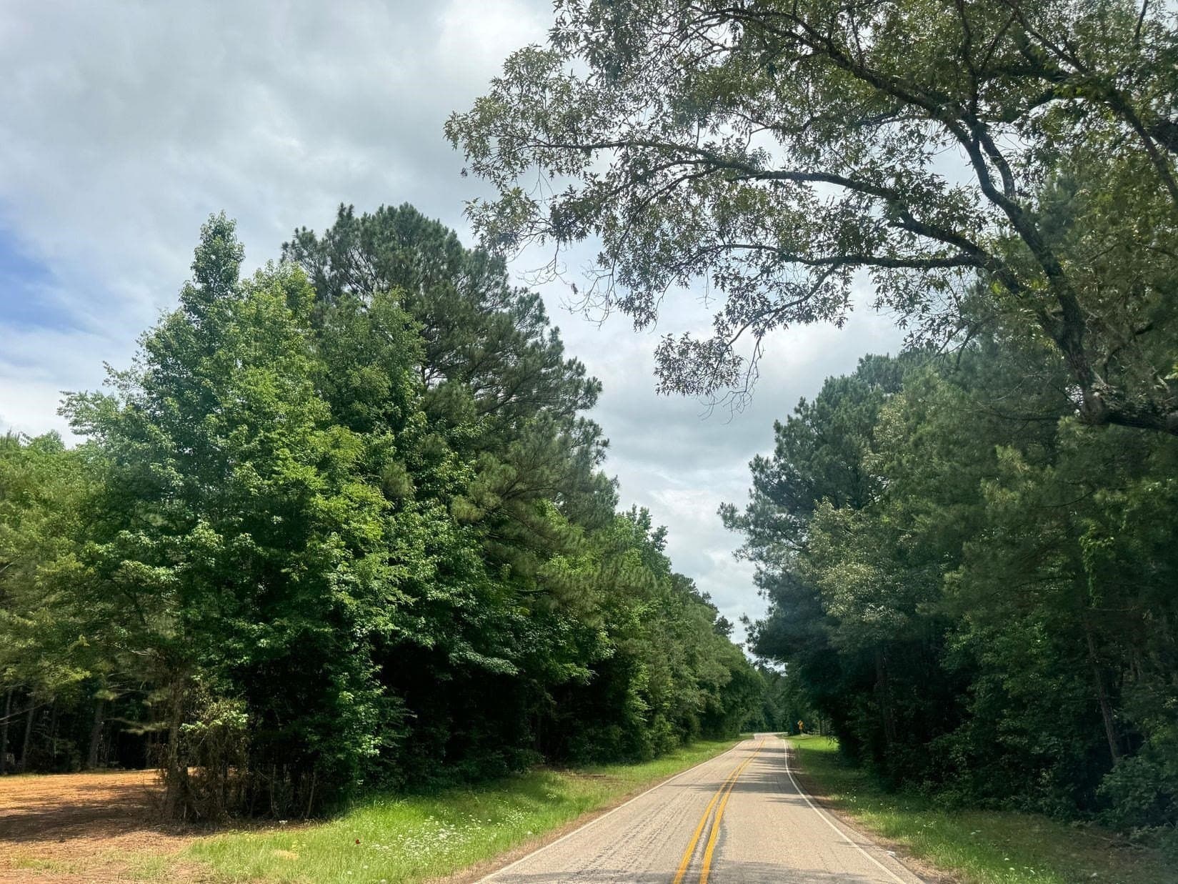 8.42 acres in Marion County gallery image 4
