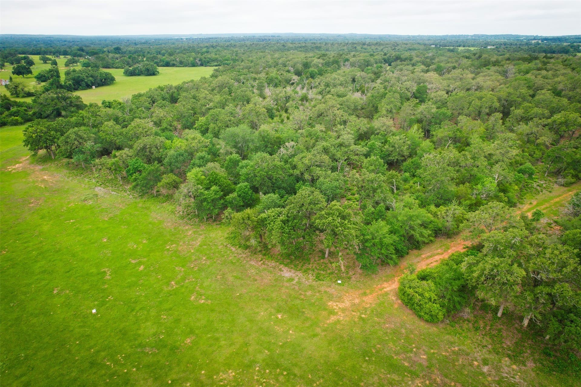 10.01 acres in Milam County - photo 7