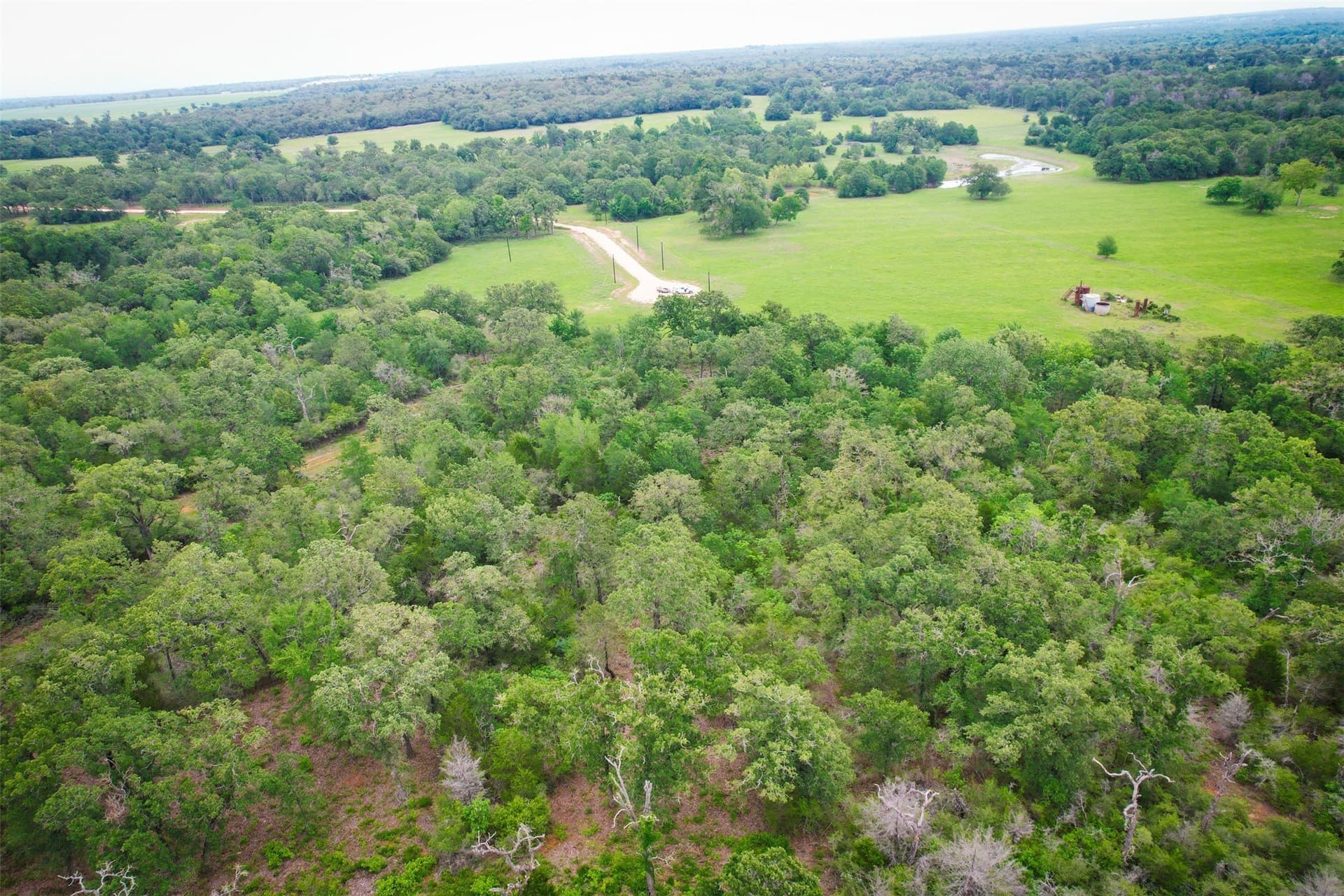 10.01 acres in Milam County - photo 2
