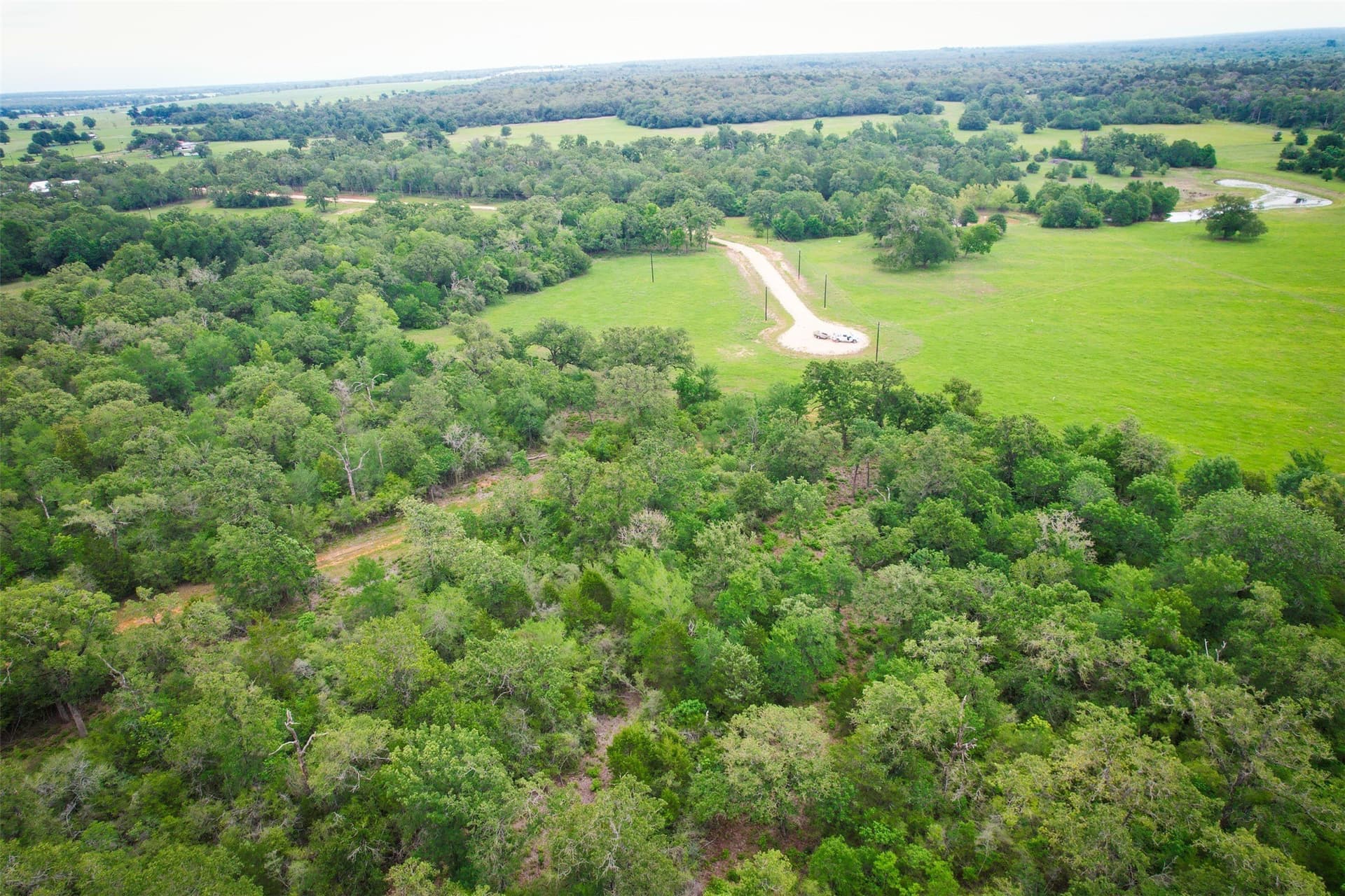 10.01 acres in Milam County - photo 3