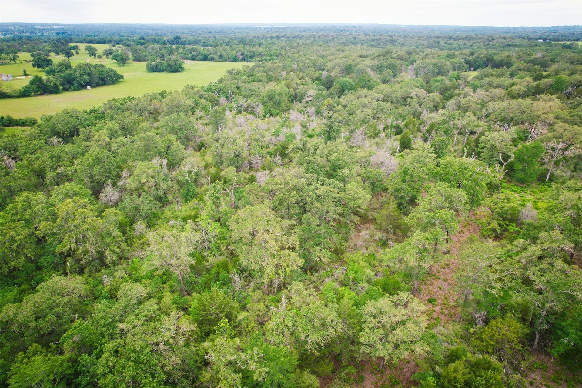 10.01 acres in Milam County - photo 4