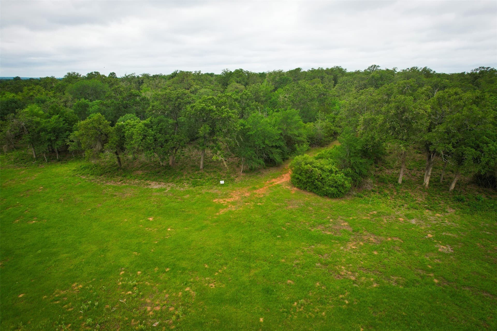 10.01 acres in Milam County - photo 9