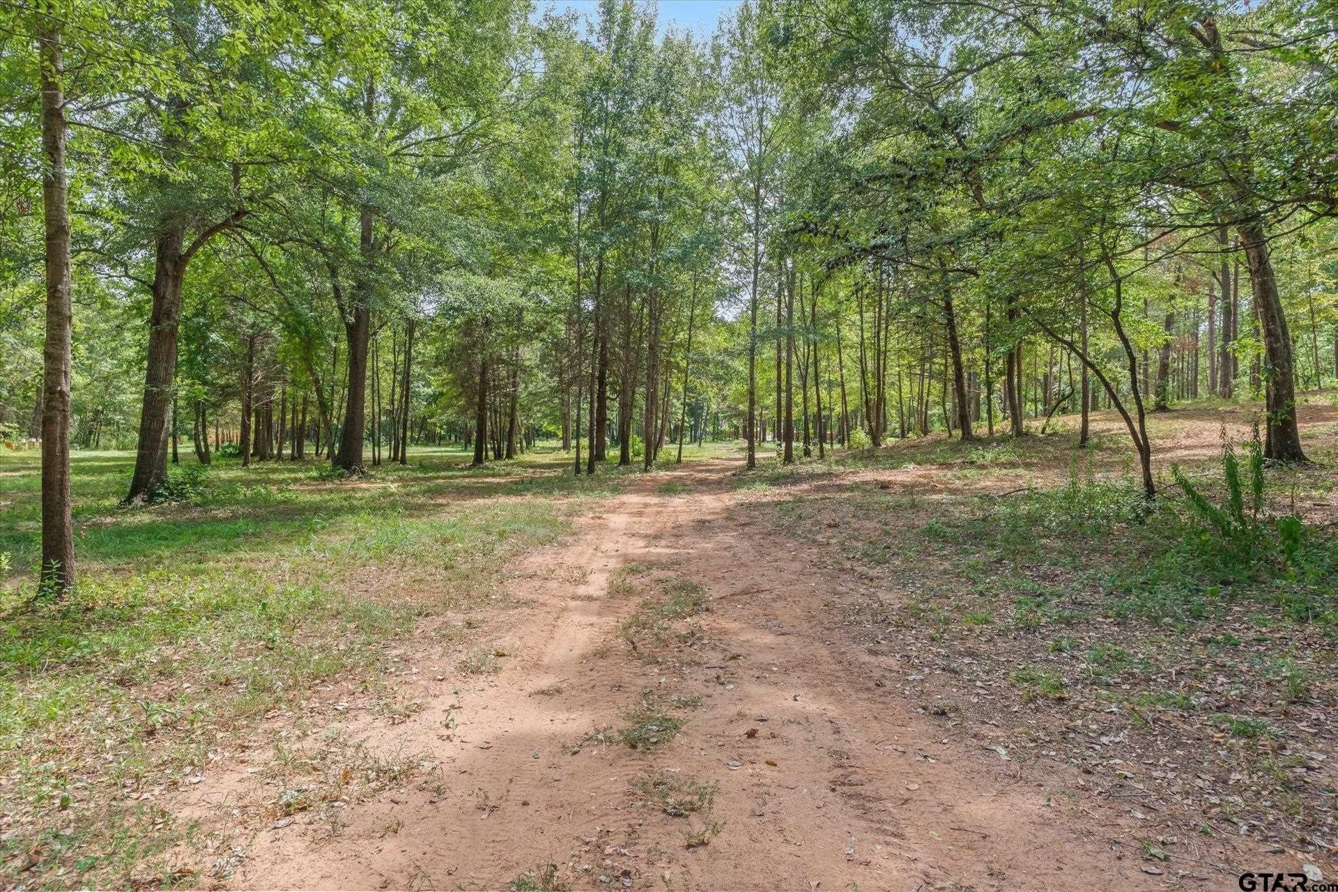 14.3 acres in Smith County - photo 12