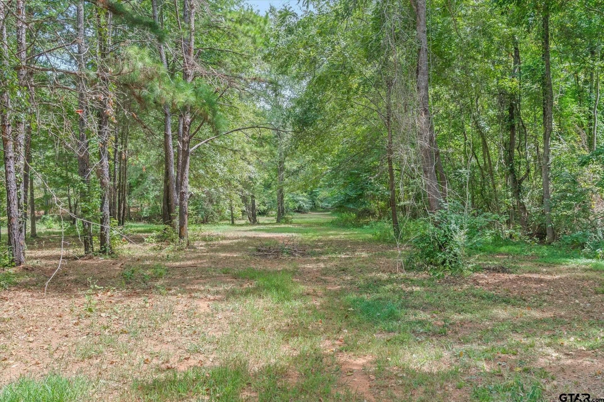 14.3 acres in Smith County - photo 5