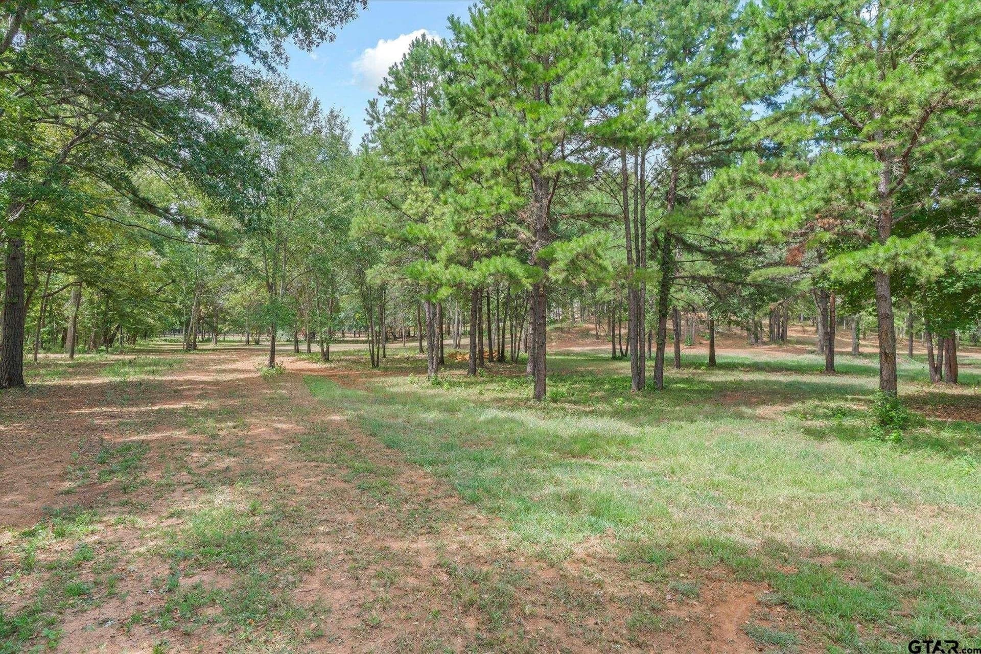 14.3 acres in Smith County - photo 3