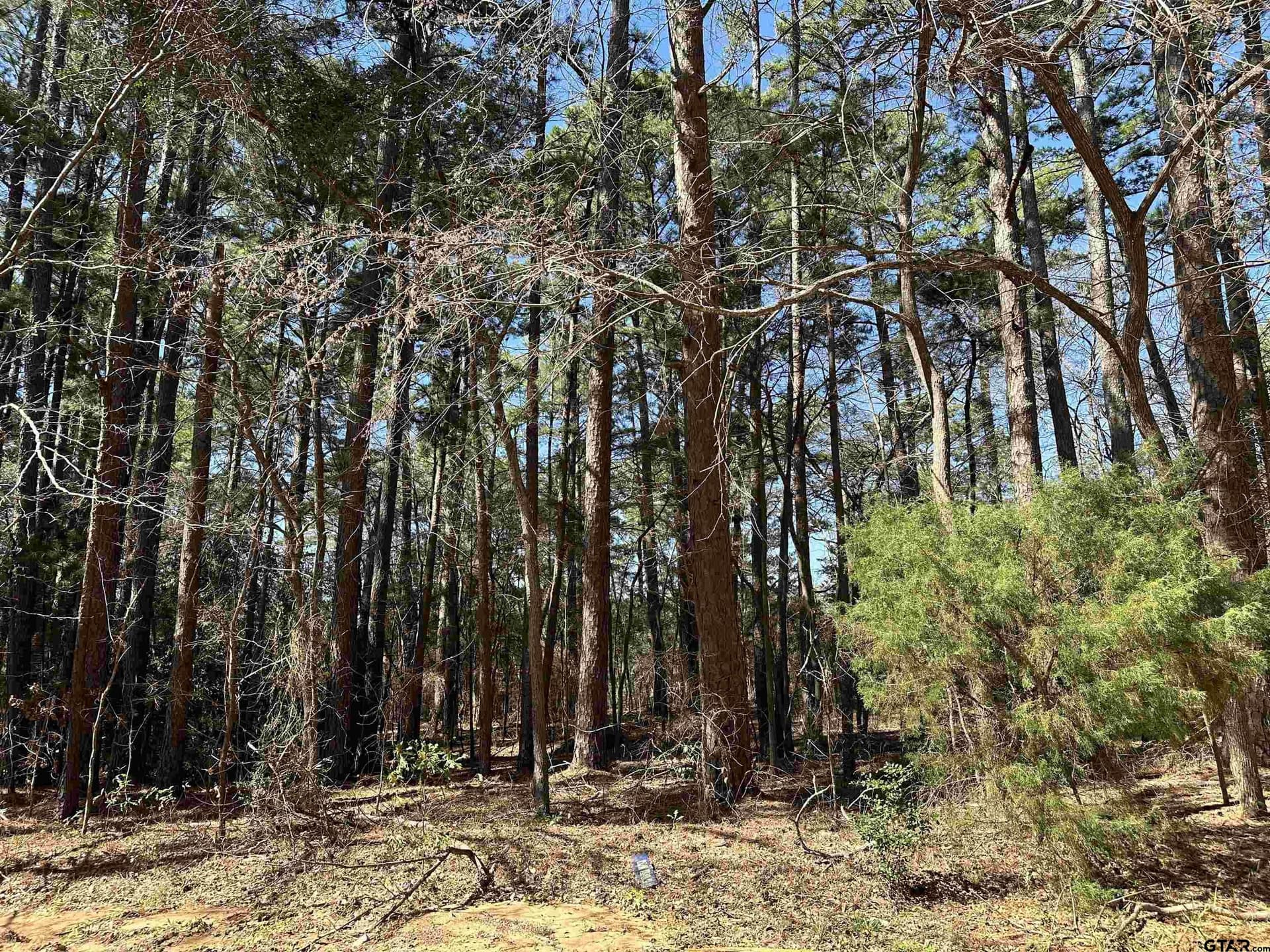 0.17 acres in Cherokee County