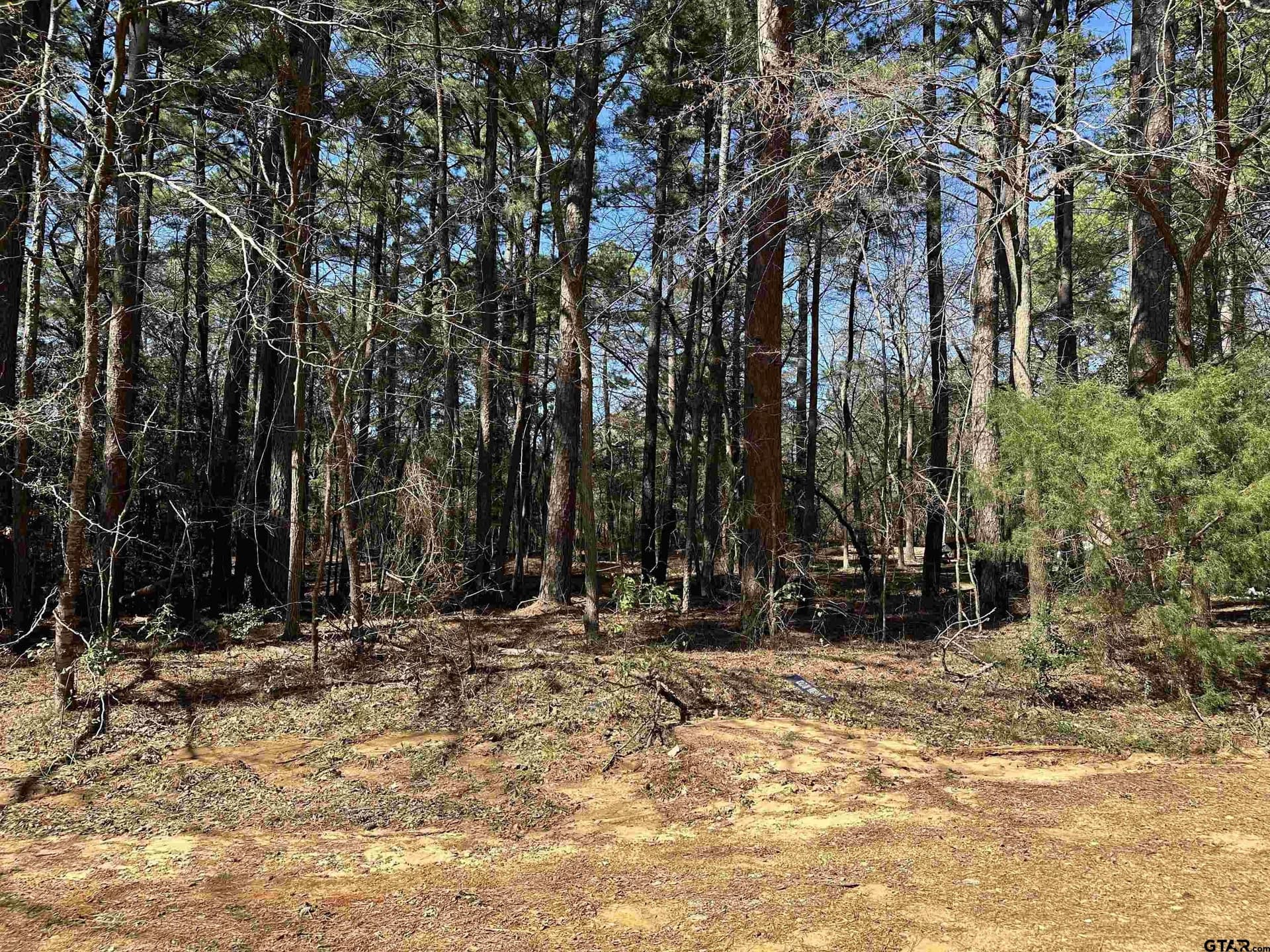 0.17 acres in Cherokee County gallery image 3