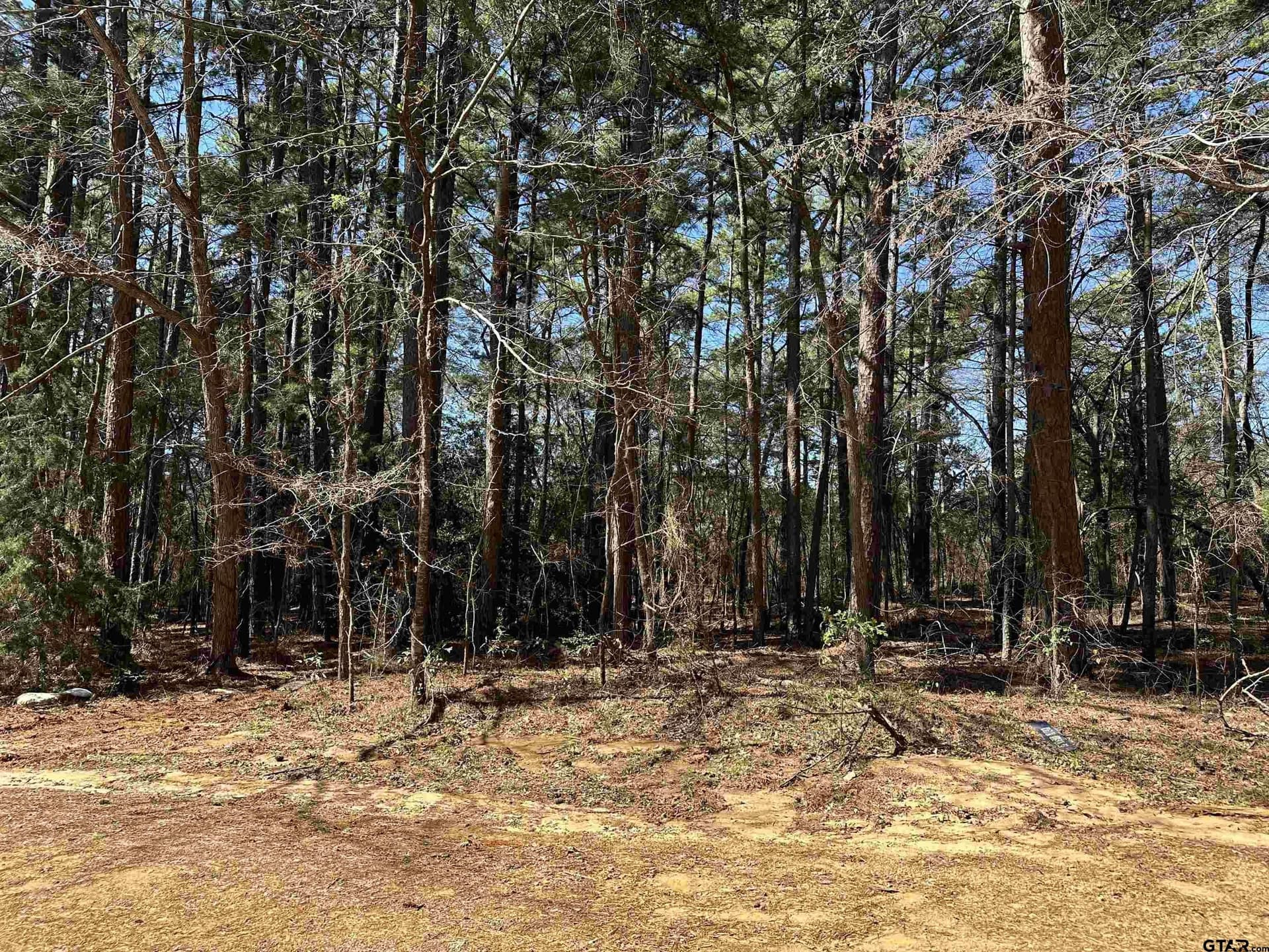 0.17 acres in Cherokee County gallery image 2