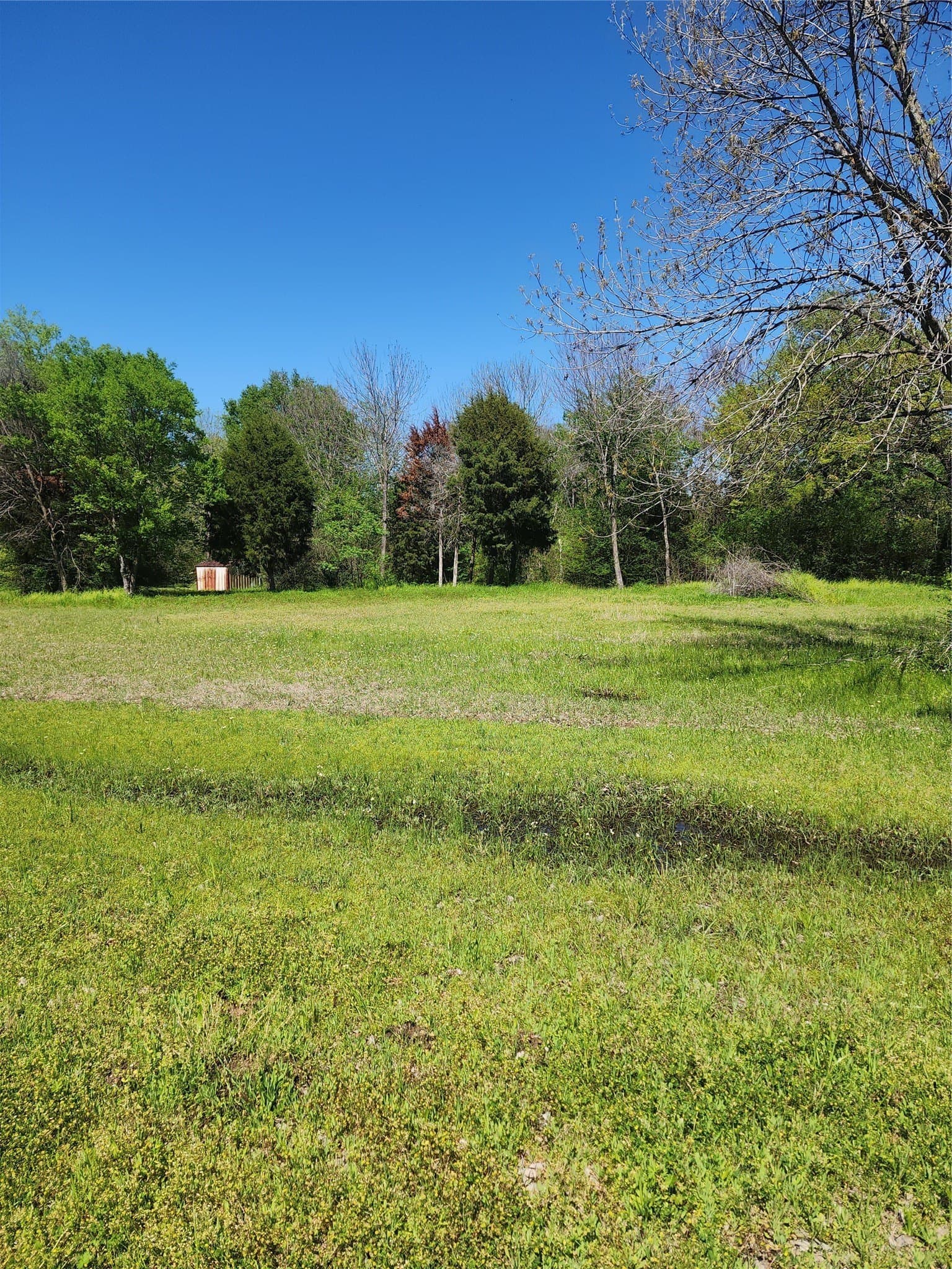 0.92 acres in Henderson County gallery image 2