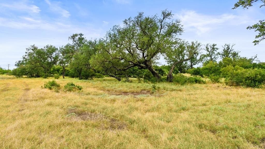 5 acres in Blanco County - photo 20