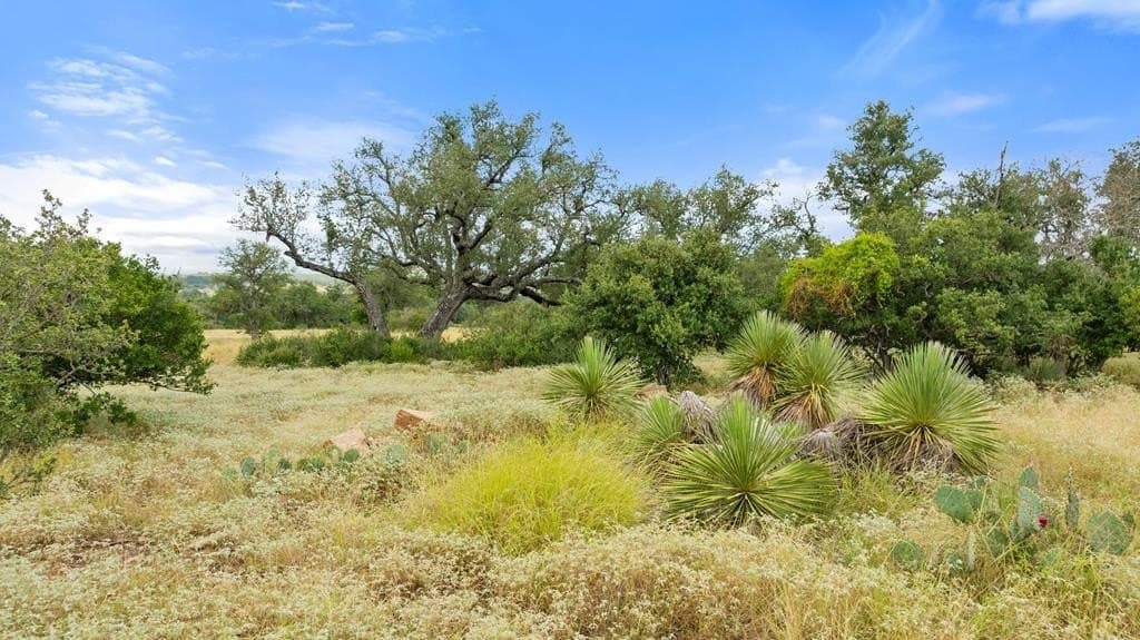 5 acres in Blanco County - photo 22